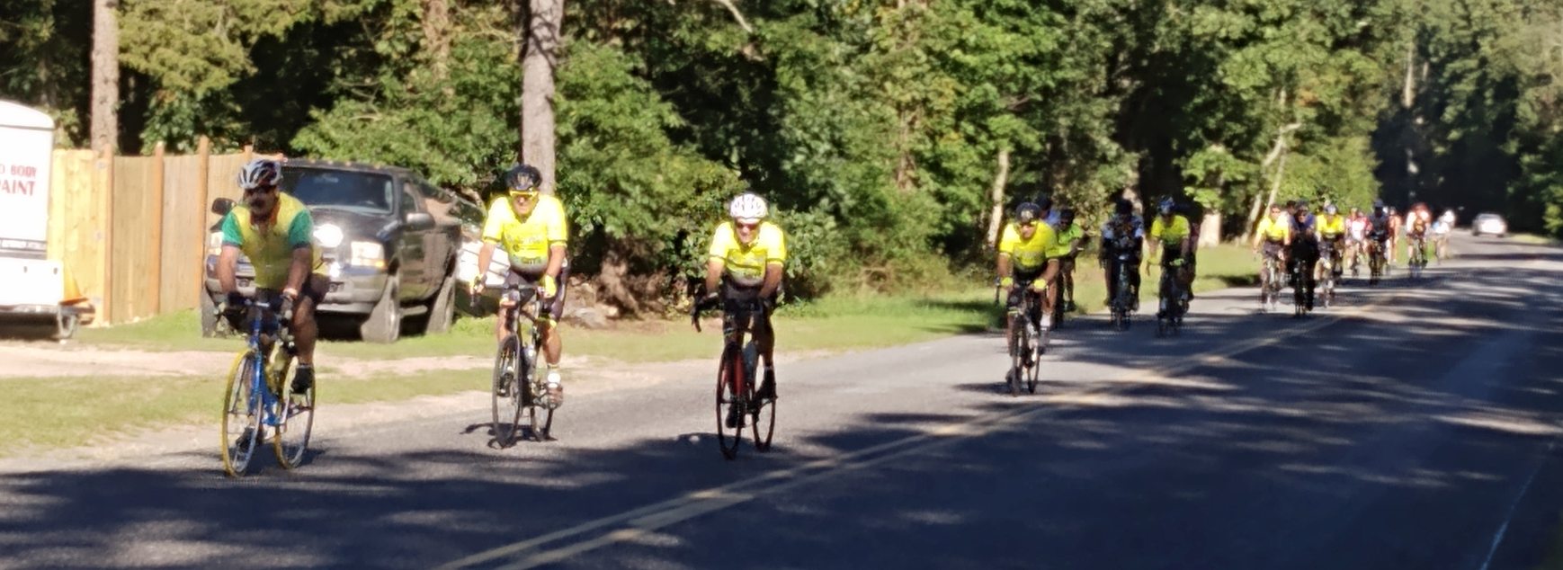 about 20 bicycles riding down a wooded road